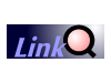 Link-Q