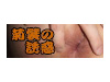 菊襞の誘惑
