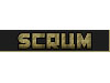 SCRUM